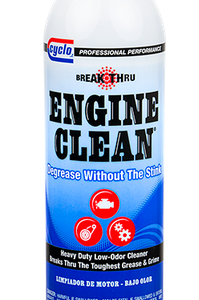 engine clean